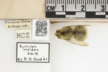 Media type: image;   Entomology 810611 Aspect: labels